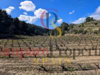 Venta - Plot - Benissa - Partida Biasner