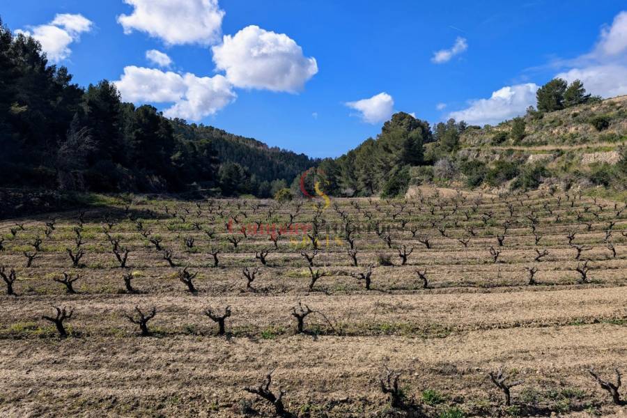 Venta - Plot - Benissa - Partida Biasner