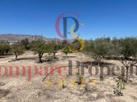 Verkoop - Villa - Crevillente
