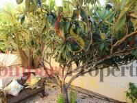 Verkoop - Villa - Orba Valley - Orba