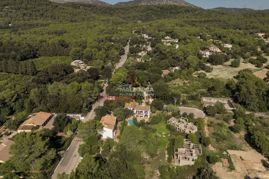 Vente - Apartment - Sa Pobla - Mallorca