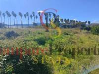 Sale - Apartment - Oliva - 