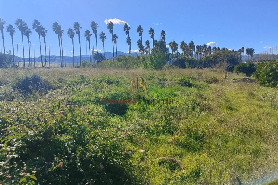 Sale - Apartment - Oliva - 