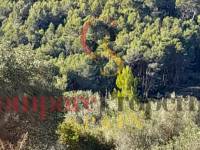 Verkauf - Plot - Orba Valley - 