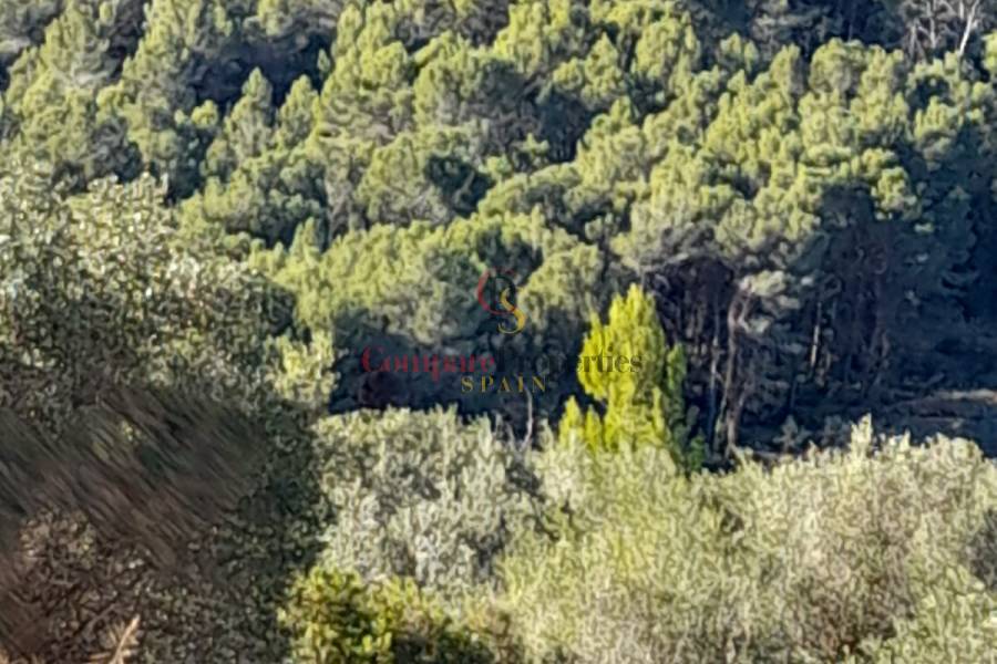 Verkauf - Plot - Orba Valley - 