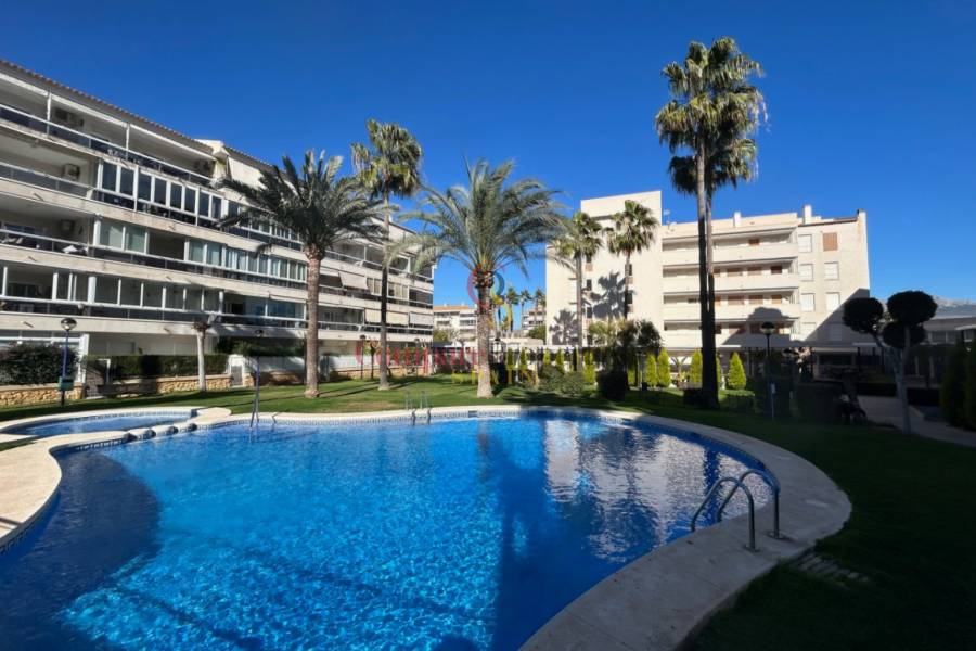 Verkoop - Apartment - Albir - Centro