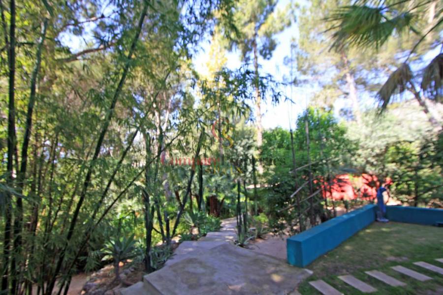 Sale - Villa - Orba Valley - Casco urbano