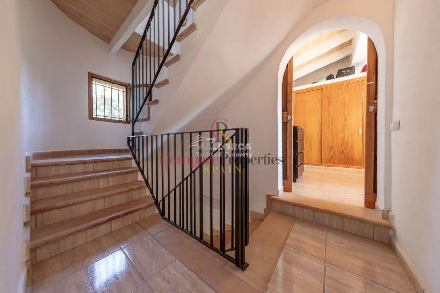 Vente - Apartment - Sa Pobla - Mallorca