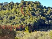 Verkauf - Plot - Orba Valley - 