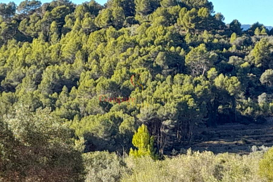 Verkauf - Plot - Orba Valley - 