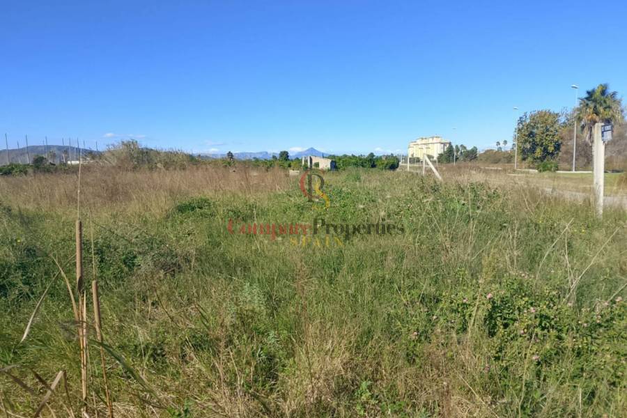 Sale - Apartment - Oliva - 