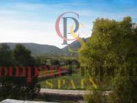 Verkauf - Villa - Jalon Valley - Alcalali