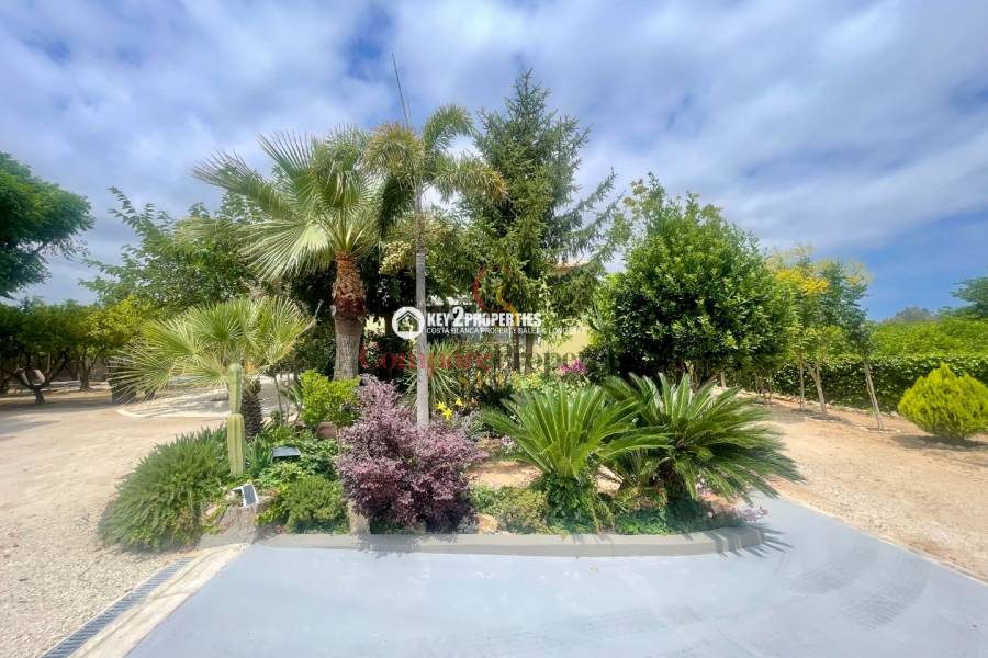 Venta - Villa - Pedreguer