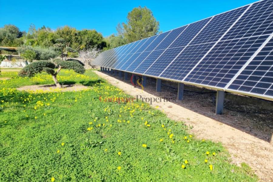 Verkauf - Apartment - Dénia - 