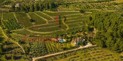 Villa - Verkauf - Jalon Valley - Comunidad valenciana