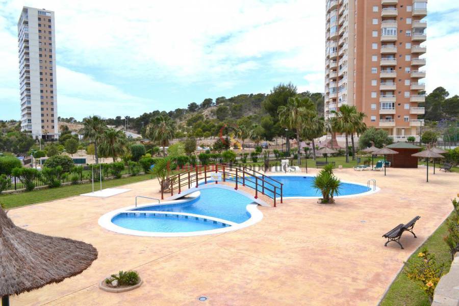 Verkoop - Apartment - Benidorm - Playa Poniente