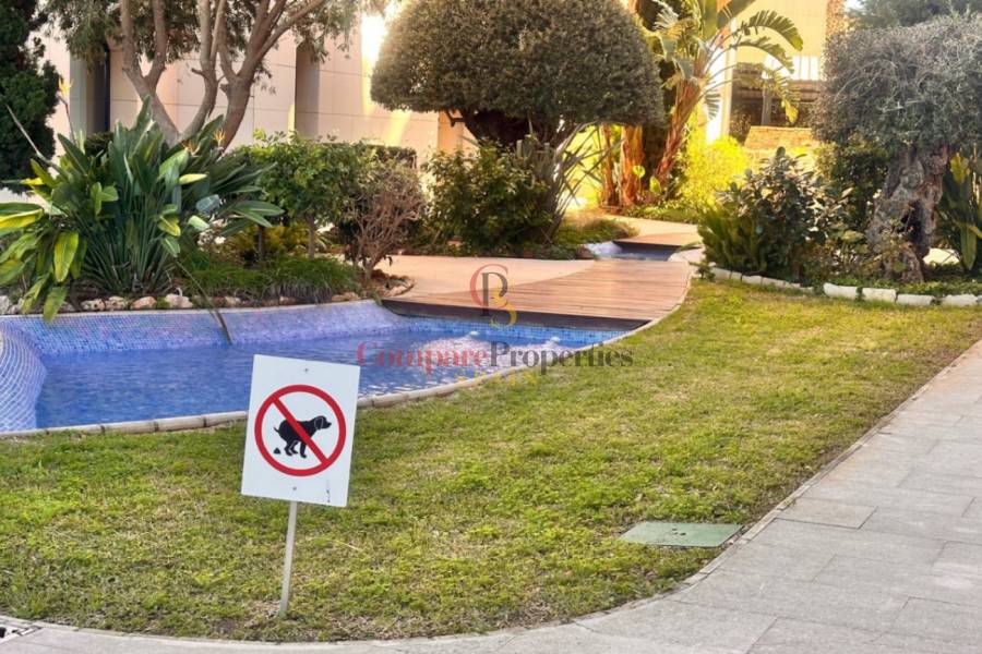 Sale - Duplex and Penthouses - Dénia - Casco urbano