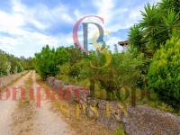 Sale - Villa - Jalon Valley - Campo