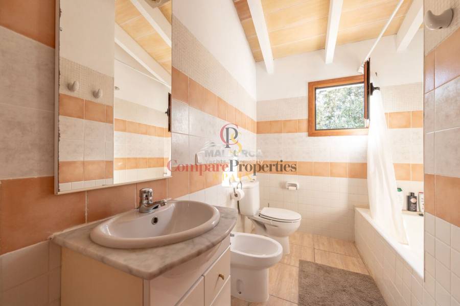 Vente - Apartment - Sa Pobla - Mallorca