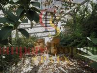 Verkoop - Villa - Benissa - La Fustera