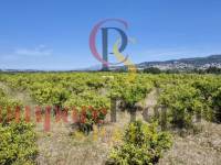 Sale - Villa - Orba Valley - Campo