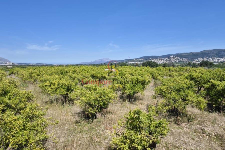 Sale - Villa - Orba Valley - Campo