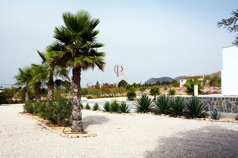 Venta - Villa - Macisvenda