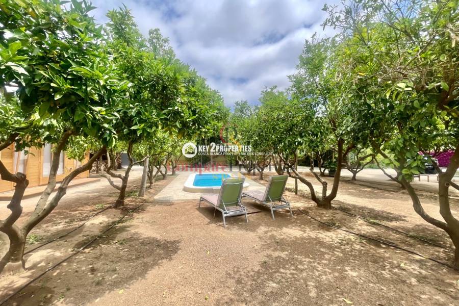 Venta - Villa - Pedreguer