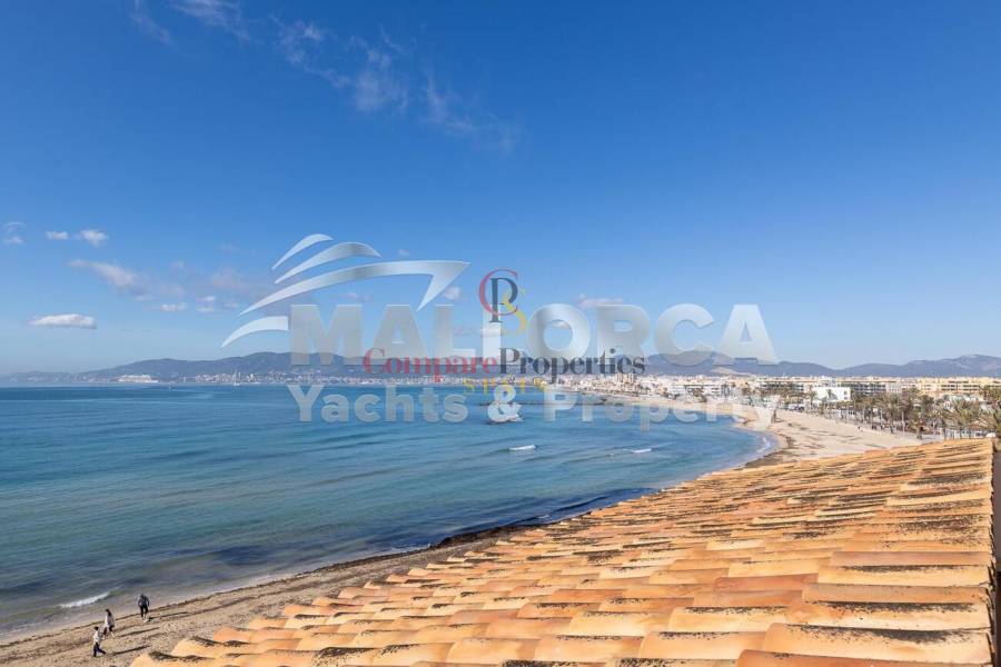 Vente - Apartment - Palma de Mallorca - Ciudad Jardin