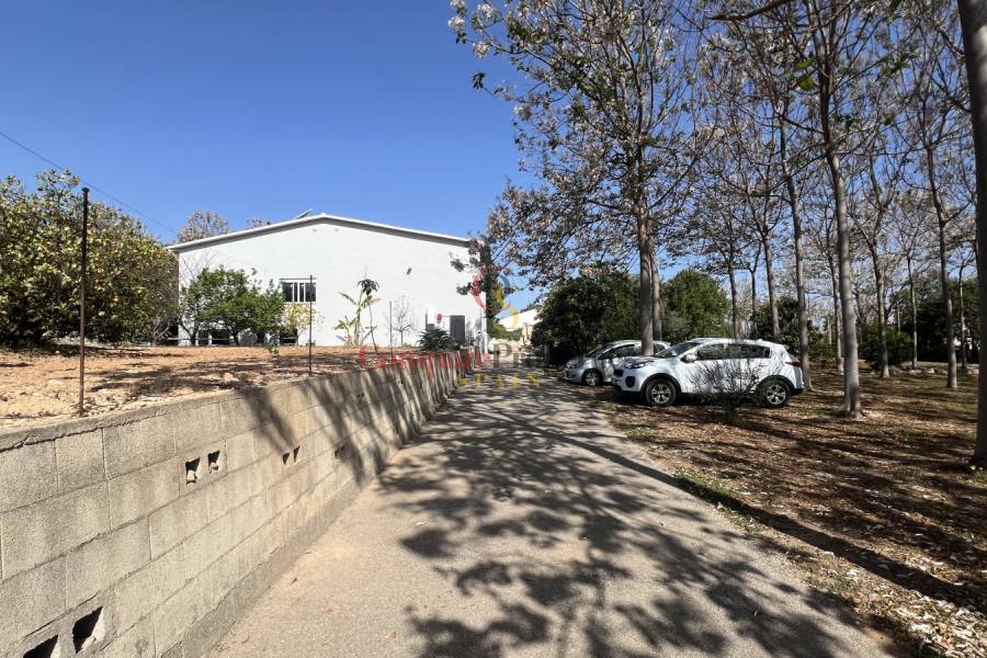 Venta - Villa - Pedreguer