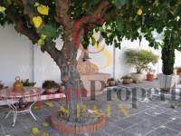 Vente - Villa - XATIVA - Xativa