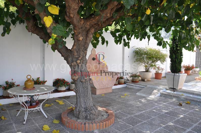 Vente - Villa - XATIVA - Xativa