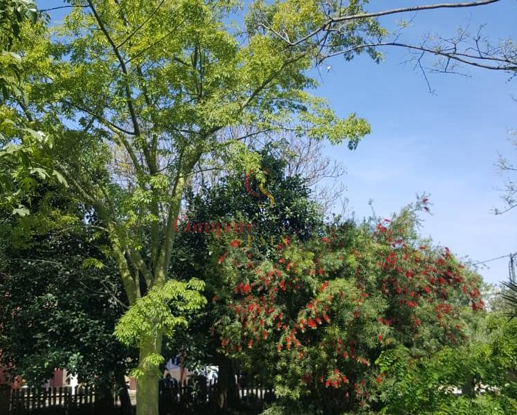 Venta - Villa - Ondara