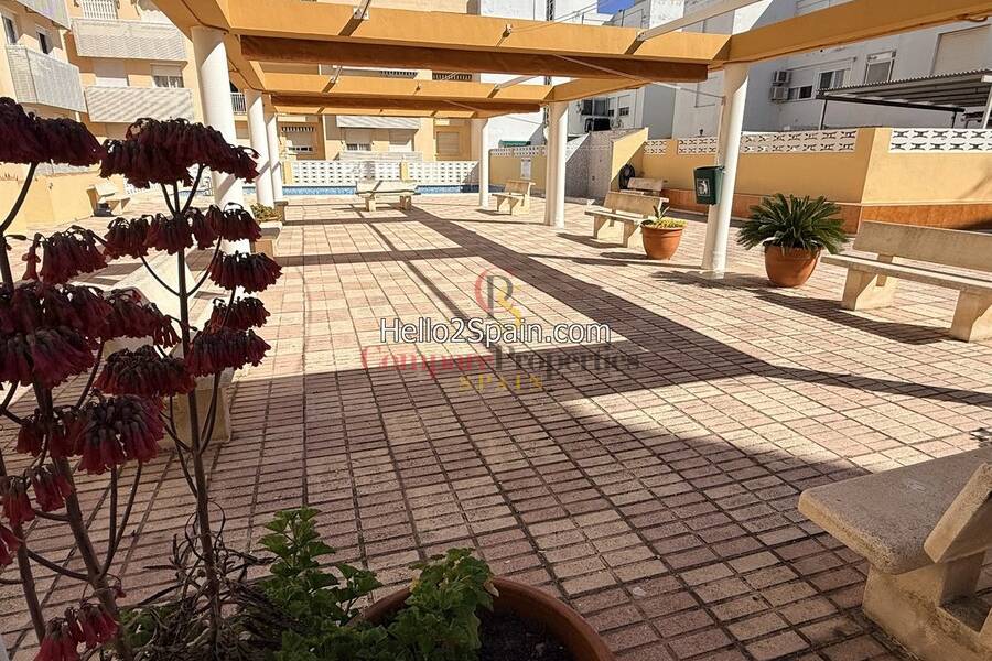 Sale - Apartment - Gandía