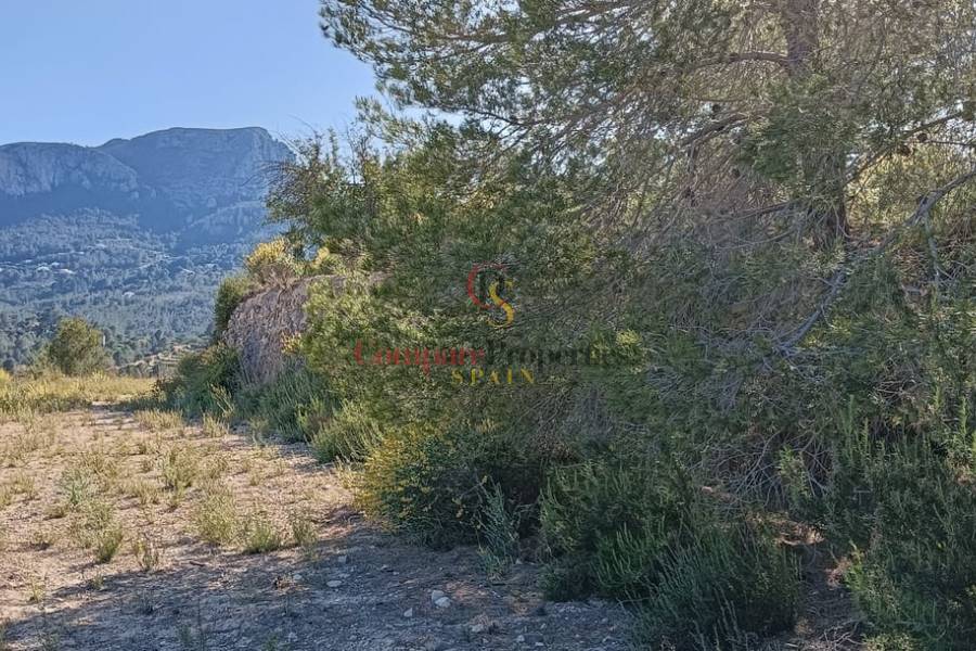Verkoop - Apartment - Benissa
