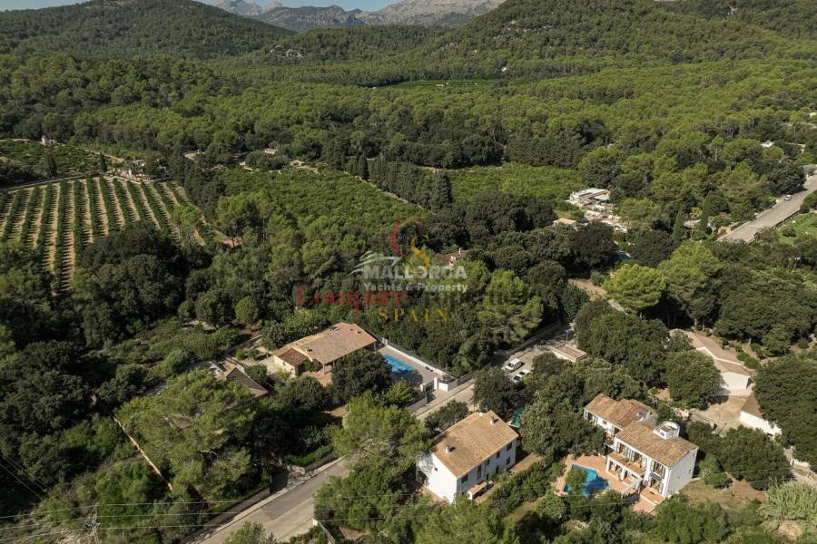 Vente - Apartment - Sa Pobla - Mallorca