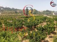 Sale - Apartment - La Font d'en Carròs - La Font d'en Carrós