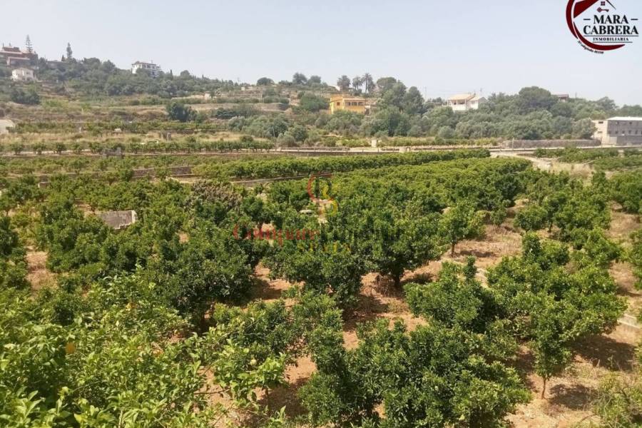 Sale - Apartment - La Font d'en Carròs - La Font d'en Carrós