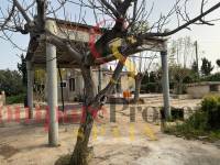Venta - Villa - Ondara - 