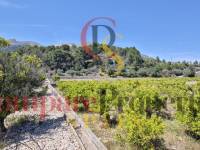Sale - Villa - Orba Valley - Campo