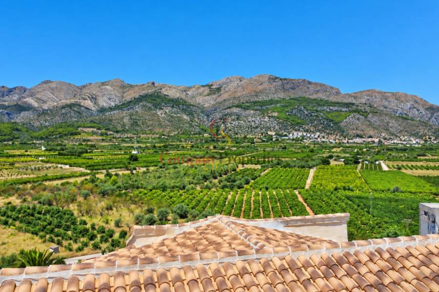 Verkoop - Villa - Orba Valley - Orba