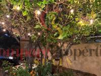 Verkoop - Villa - Orba Valley - Orba