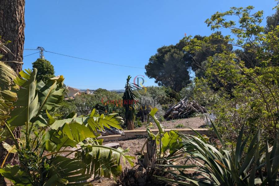 Venta - Plot - Benissa - Buenavista