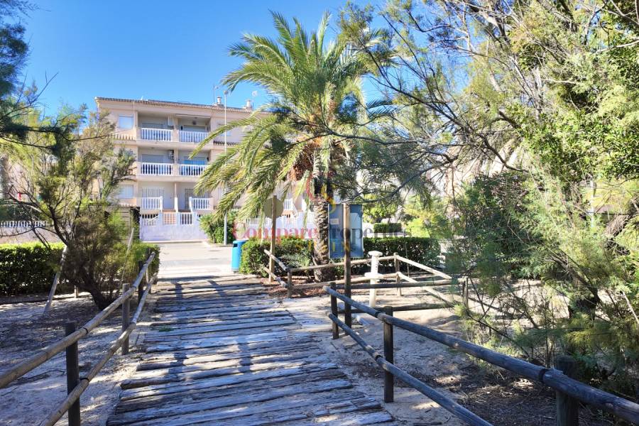 Venta - Apartment - Piles