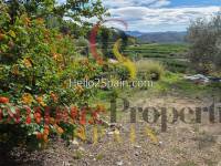 Venta - Villa - Oliva