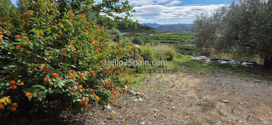 Venta - Villa - Oliva