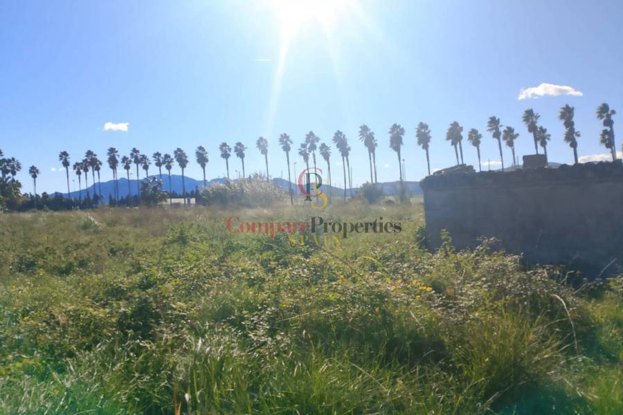 Sale - Apartment - Oliva - 