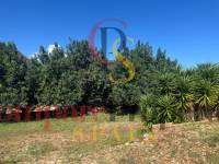 Vente - Villa - Rafol de almunia