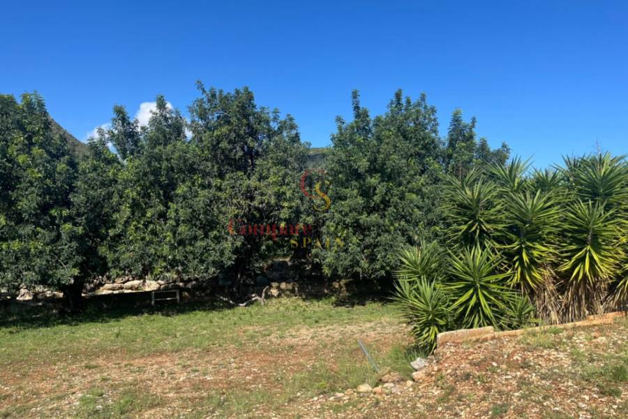 Vente - Villa - Rafol de almunia