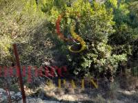 Verkauf - Plot - Orba Valley - 